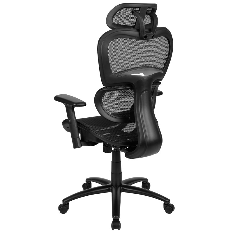 Latitude Run® Opuntia Ergonomic Mesh Task Chair & Reviews Wayfair